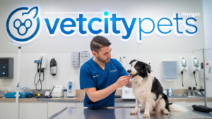 ветеринарная клиника vetcitypets