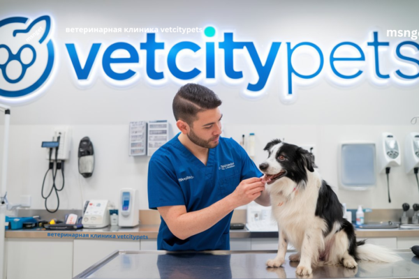 ветеринарная клиника vetcitypets