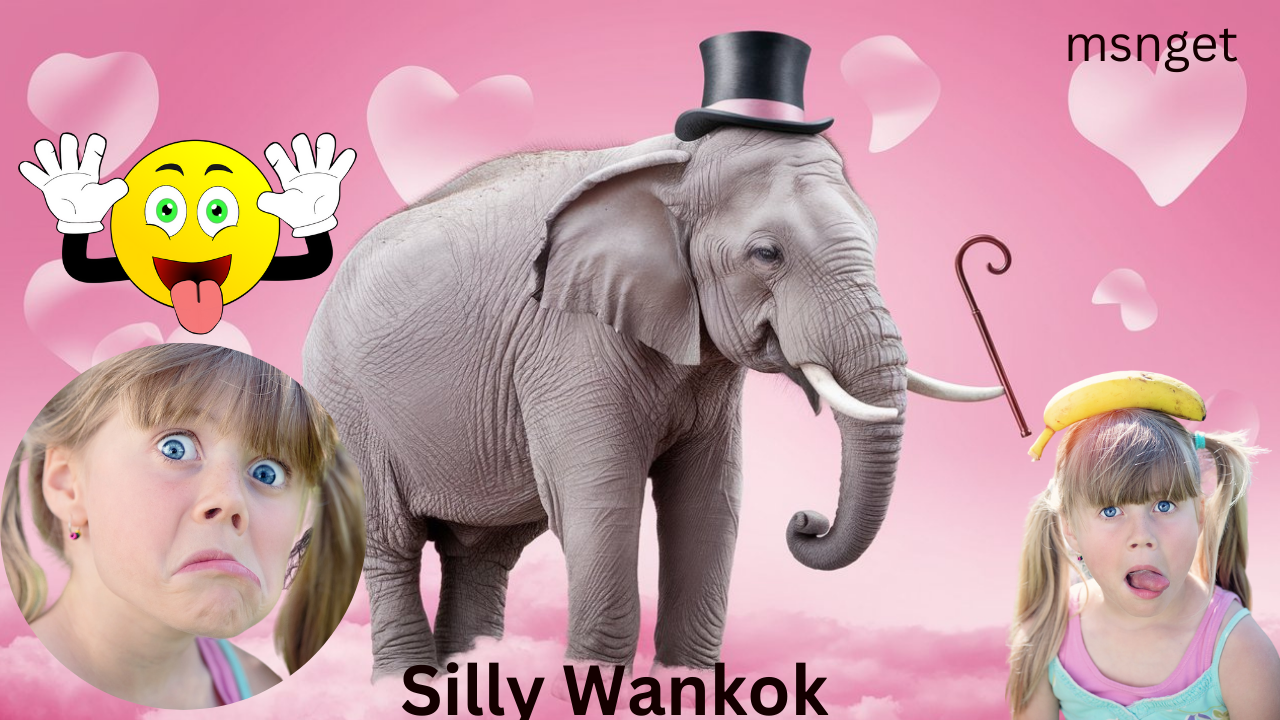 Silly Wankok